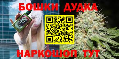 гашик Лесосибирск